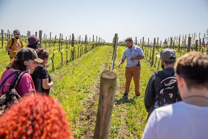 Bodega Gamboa Premium Wine Tasting with Lunch - Why Bodega Gamboa makes sense from Buenos Aires