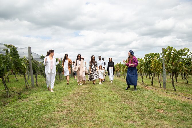 Bodega Gamboa Premium Wine Tasting with Lunch - Walking through the vines and learning the process