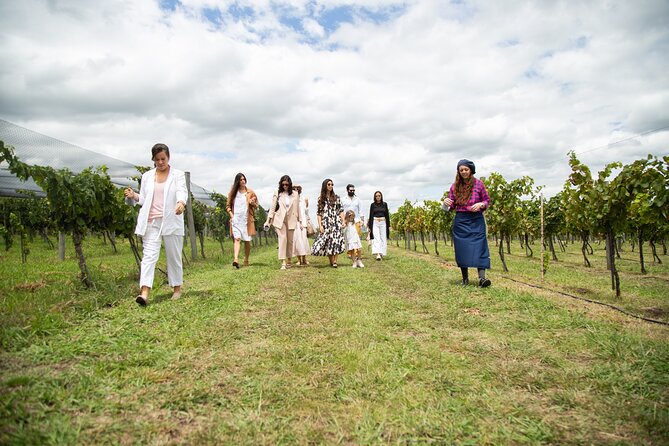 Bodega Gamboa Small-Group Wine Tasting Tour with Lunch - Key points to know before you book