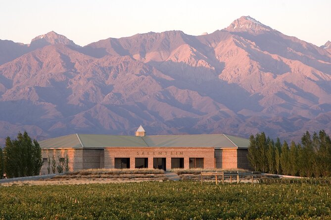 Bodega Salentein, Almuerzo Bodega La Azul with Private Transportation - The long road from Mendoza to the Uco Valley