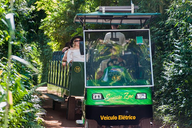 Brazilian Side of Iguazu Falls - Optional Boat Ride - Who should book this Brazilian side tour?