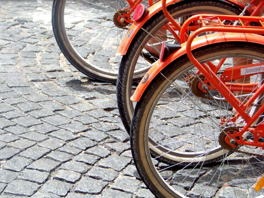 Buenos Aires Bike Tour: South or North Circuit - Plaza de Mayo and the heart of national life
