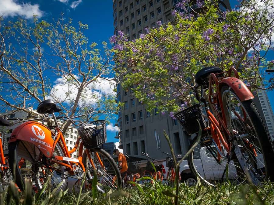 Buenos Aires Bike Tour: South or North Circuit - San Telmo: colonial streets and tango at Dorrego Square