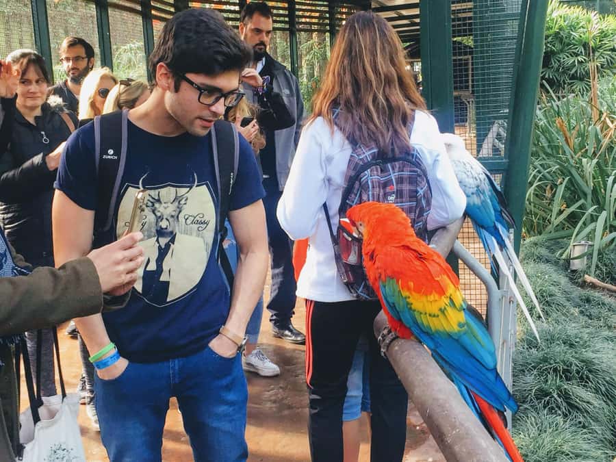 Buenos Aires: Bioparque Temaiken with Transfers - Starting with Argentina’s native wildlife