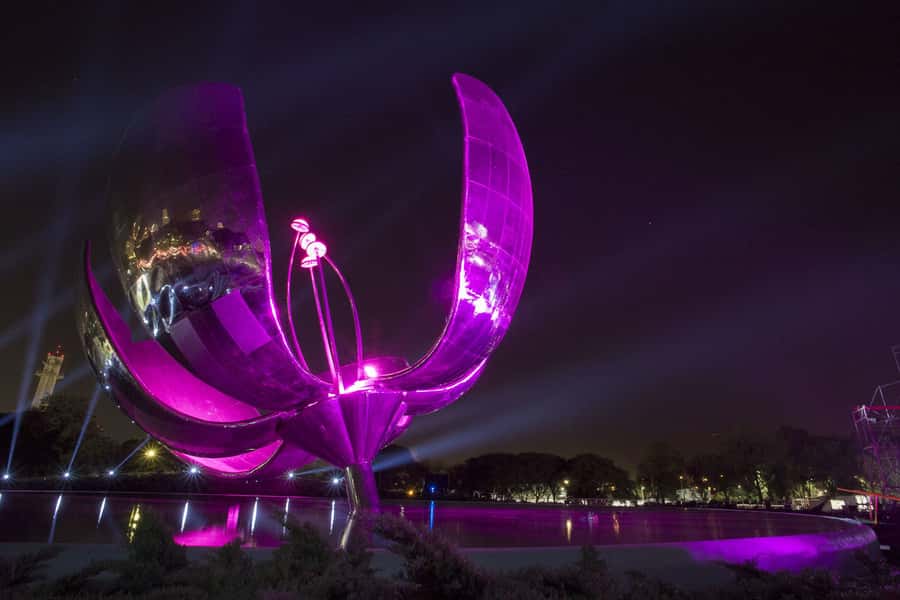 Buenos Aires by Night: Small Group City Tour - What the guide adds to the evening
