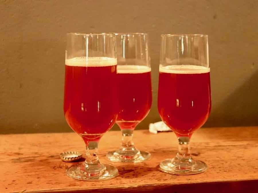 Buenos Aires: Craft Beer Adventure in Colegiales - What the guide adds to the evening