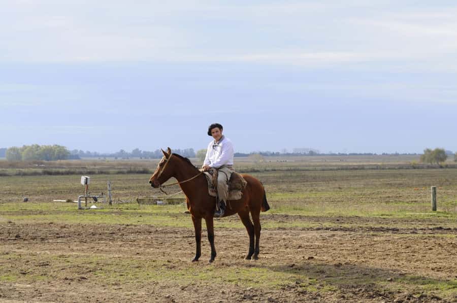 Buenos Aires: Don Silvano Ranch Gaucho Day Trip - Who should book this ranch day?