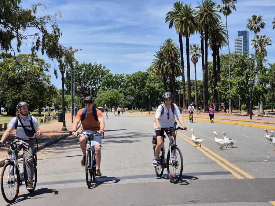Buenos Aires: E-Bike Tour in the North Circuit of Buenos Aires - Kirchner Cultural Center and Luna Park