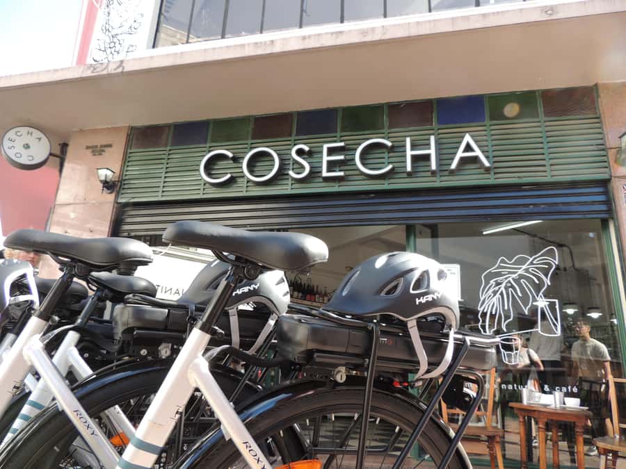 Buenos Aires: E-Bike Tour in the South Circuit of Buenos Aires - Parque Lezama offers a welcome pause