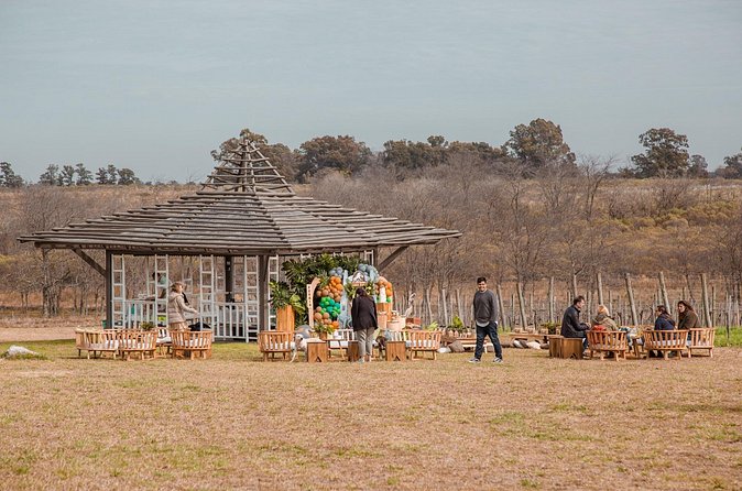 Buenos Aires Exp. Winery Gamboa Tasting and Lunch and Transfer - Walking through the six hectares of vines