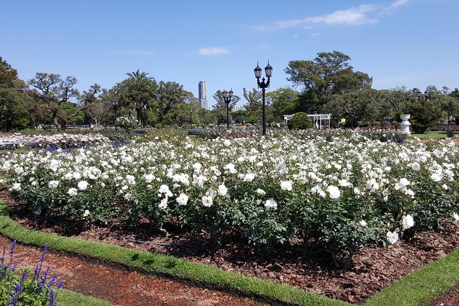 Buenos Aires - Full Day Private City Tour - Why this private Buenos Aires tour works