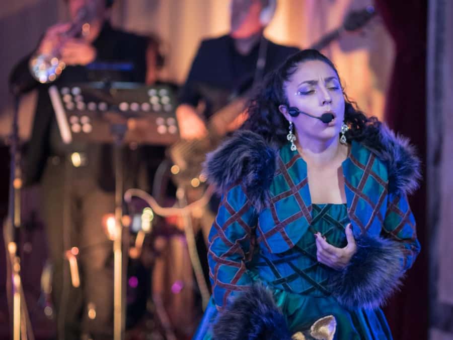 Buenos Aires: Gala Lírica Tickets at Palacio Paz. - Pickup, vouchers, and arrival details