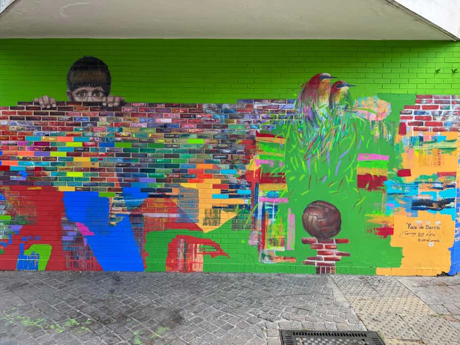 Buenos Aires: Half Day Walking Tour of Palermo & Soho - Finding calm inside the Jardín Japonés