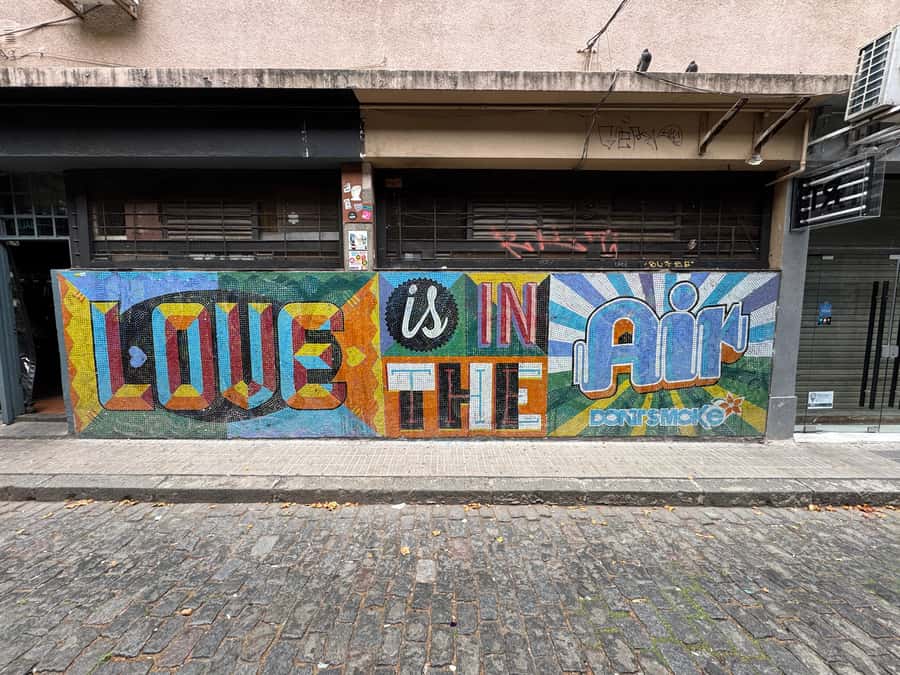 Buenos Aires: Half Day Walking Tour of Palermo & Soho - What the guide adds to the four hours