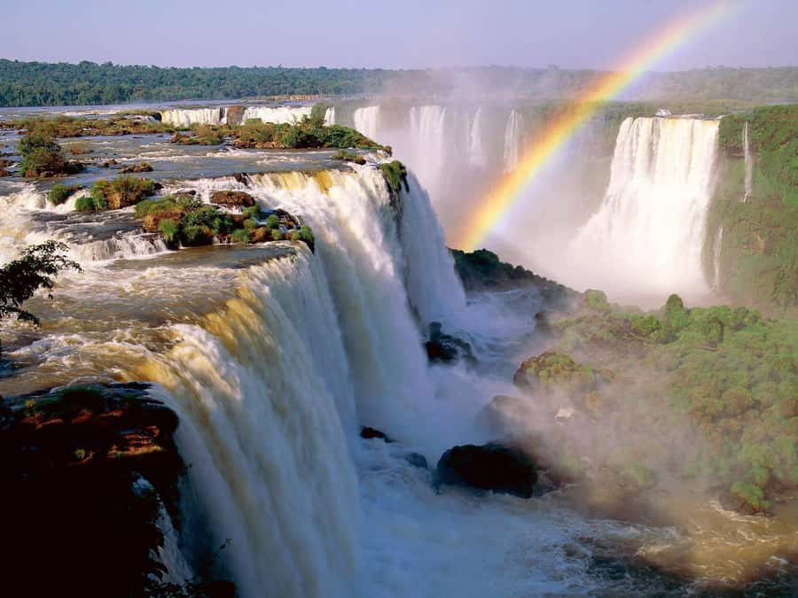 Buenos Aires: Iguazu Falls Private Day Trip with Airfare - The 4:00 AM pickup and airport handoff