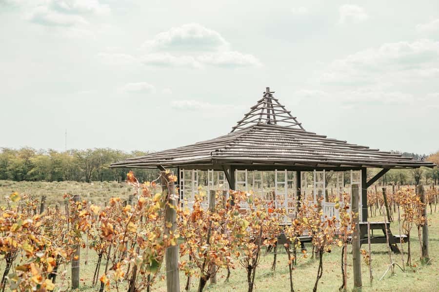 Buenos Aires: Lunch and Wine Tasting at Bodega Gamboa - Who will get the most from this outing