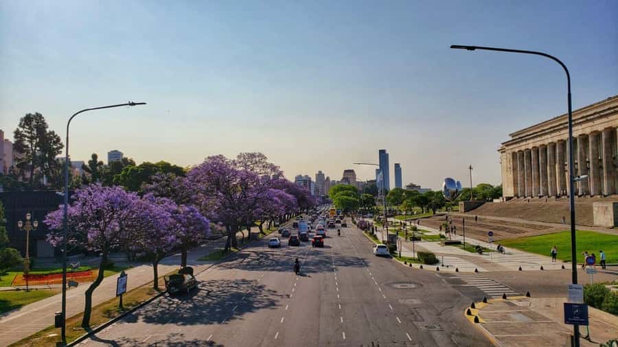 Buenos Aires Premium city tour with street food - Teatro Colón and other landmarks seen along the way
