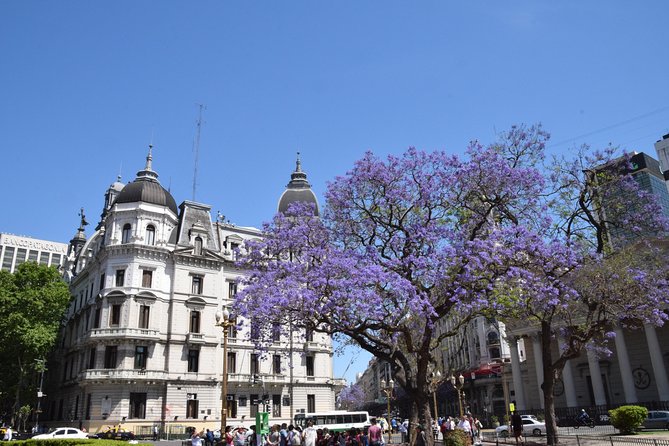 Buenos Aires Private City Tour by Car - Why a private car works well in Buenos Aires