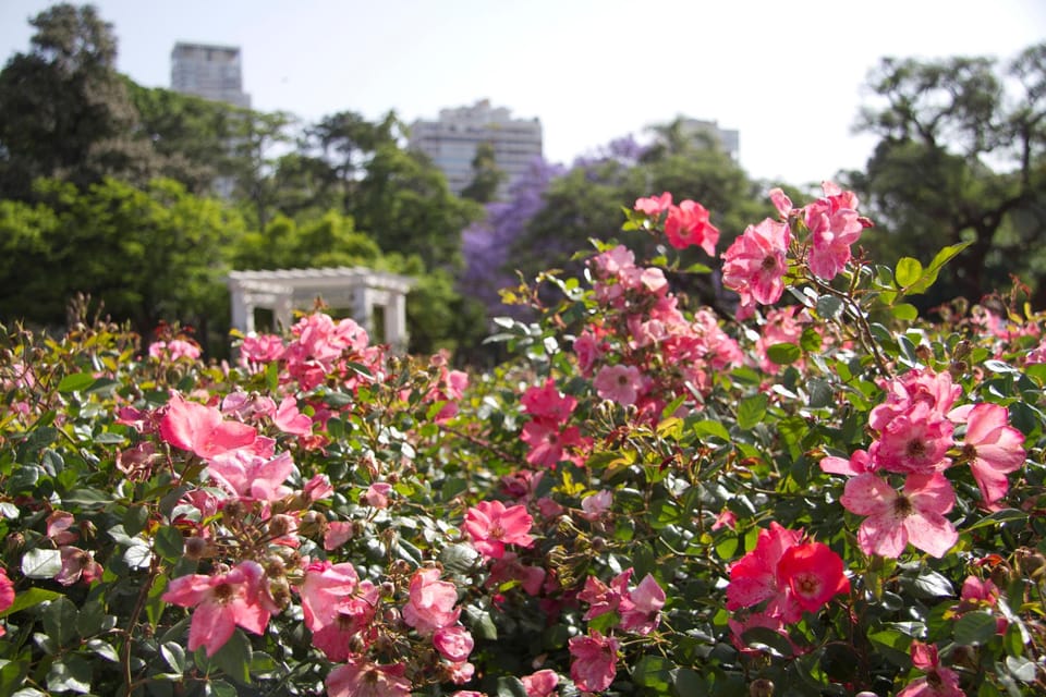 Buenos Aires Private City Tour with a local guide - Recoleta Cemetery deserves your full attention