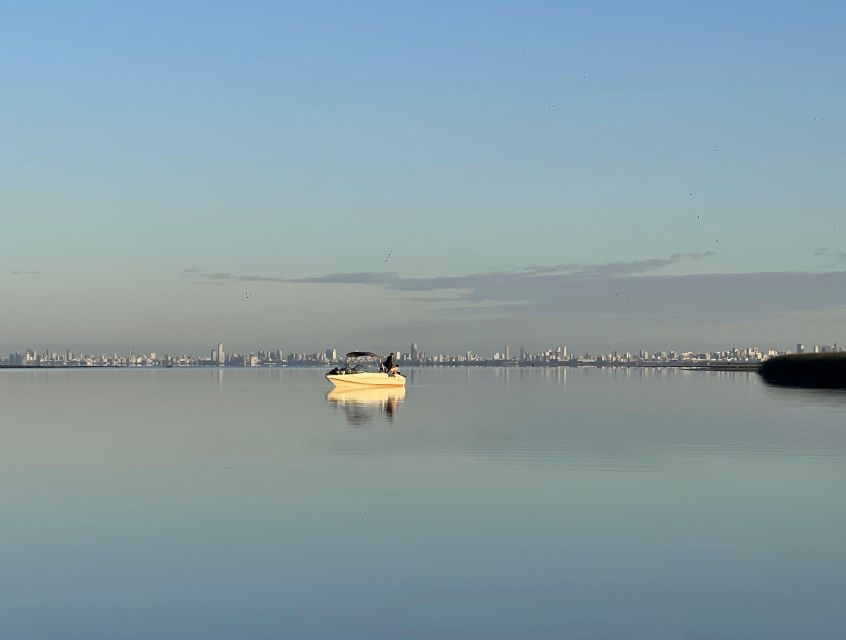 Buenos Aires: Private Delta Boat Tour with Barbecue onboard - Pickup, taxis, and the cost of getting there