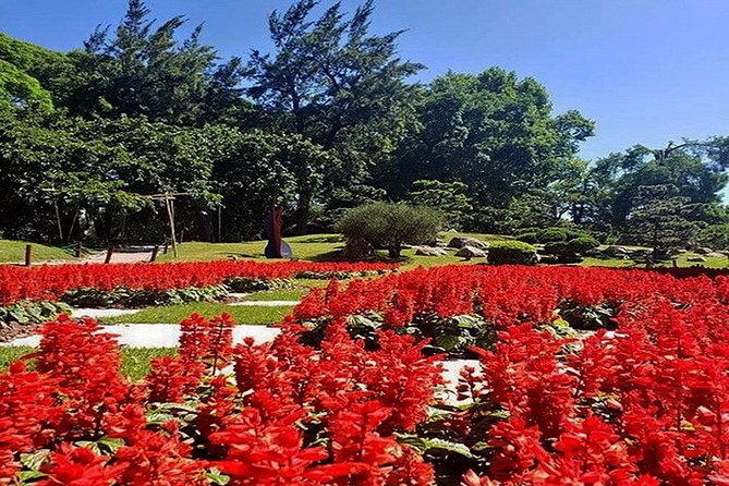 Buenos Aires Private Tour Discovering Palermo, The Japanese & Botanical Gardens - What the private format is really worth