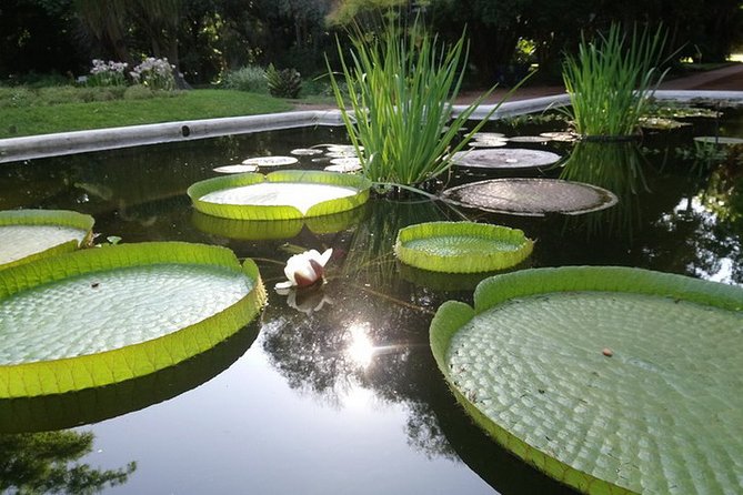 Buenos Aires Private Tour Discovering Palermo, The Japanese & Botanical Gardens - How the three hours feel