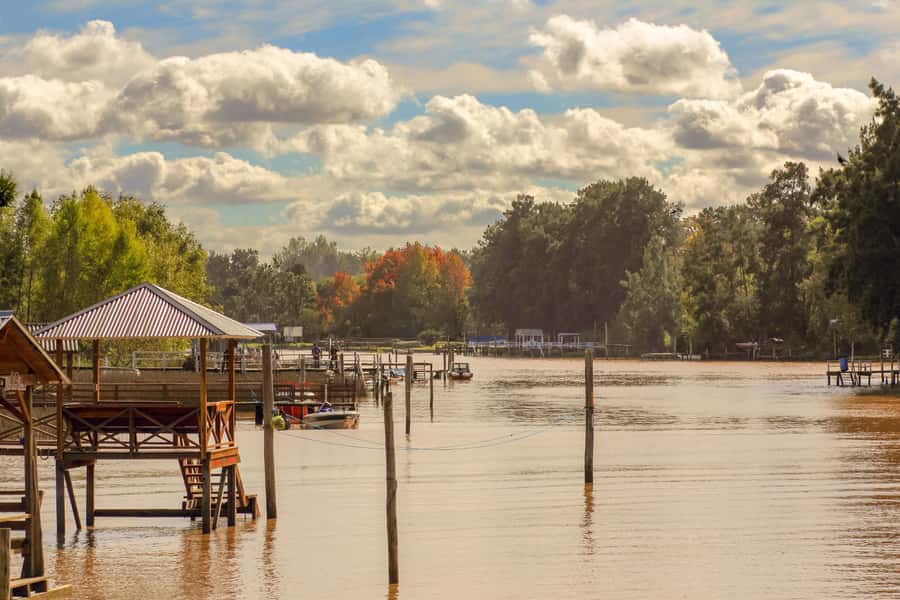 Buenos Aires: Puerto Madero to Tigre Round Trip Cruise - Making the most of your four hours
