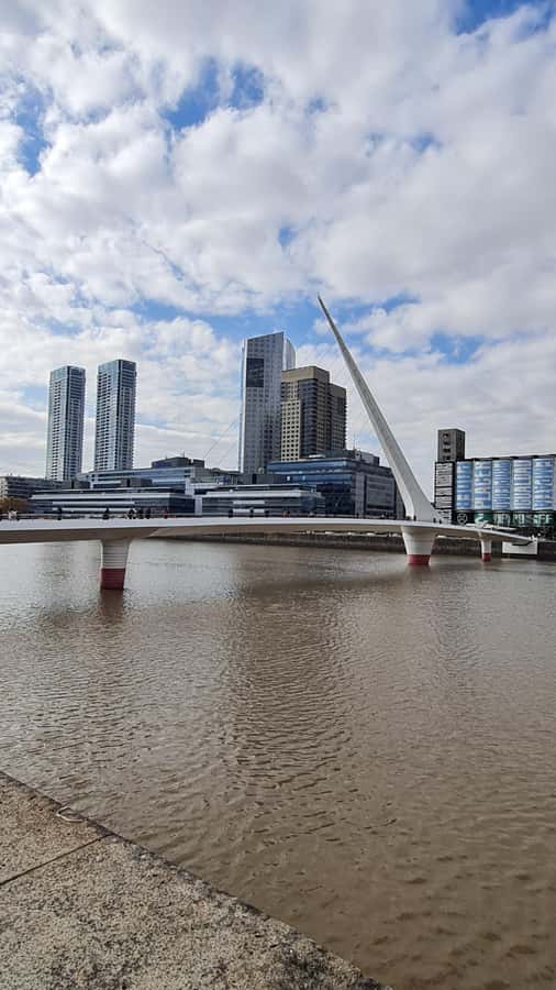 Buenos Aires: Puerto Madero Tour For Small Groups - Who should book this walking tour?