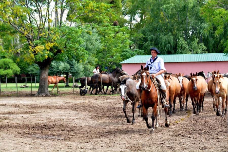 Buenos Aires: Santa Susana Ranch Day Tour, BBQ & Shows - Exploring the chapel, museum, and historic grounds