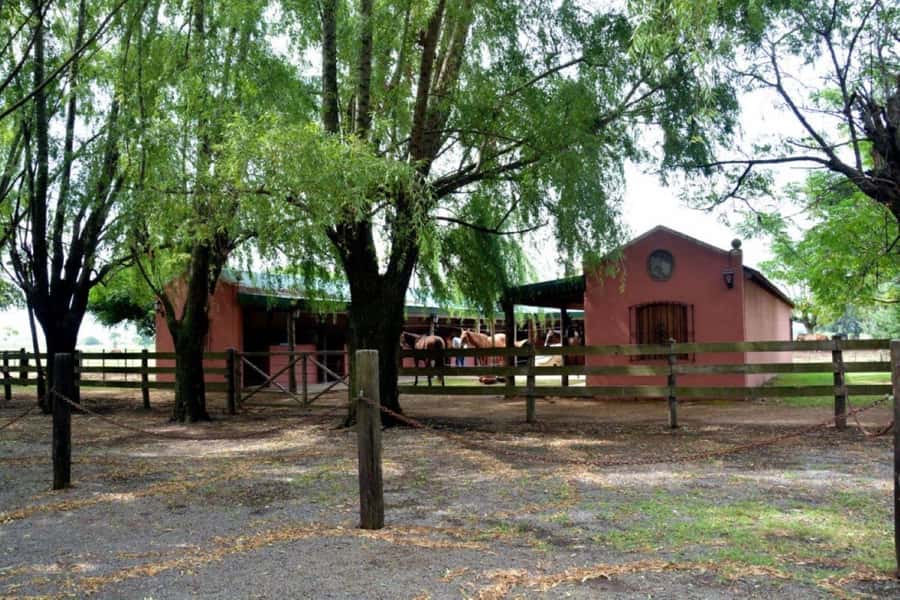 Buenos Aires: Santa Susana Ranch Day Tour, BBQ & Shows - Is $270 good value?