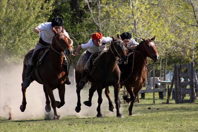 Buenos Aires Super Saver: City Tour, Gaucho Day at a Farm & Tango Dinner-Show - A full day in gaucho country