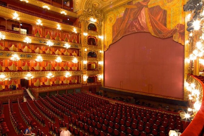 Buenos Aires Teatro Colon Guided Tour - The main auditorium and famous ceiling