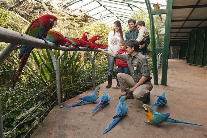 Buenos Aires: Temaiken Biopark including Transfers - Key points to know before booking
