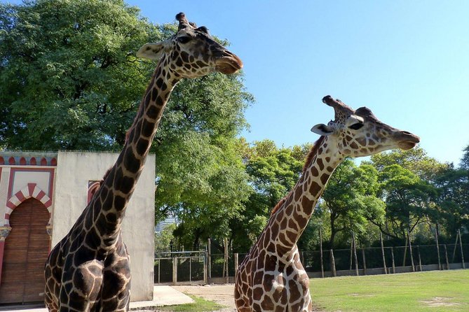 Buenos Aires: Temaiken Biopark including Transfers - Farm animals and hands-on moments