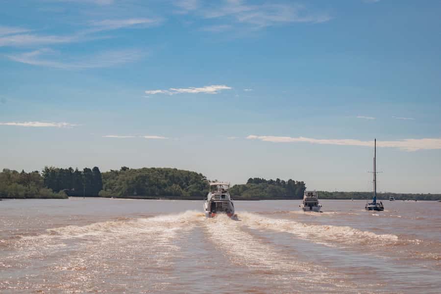 Buenos Aires: "Ticket"- 2hs of Navigation Premium to Tigre - Key points at a glance