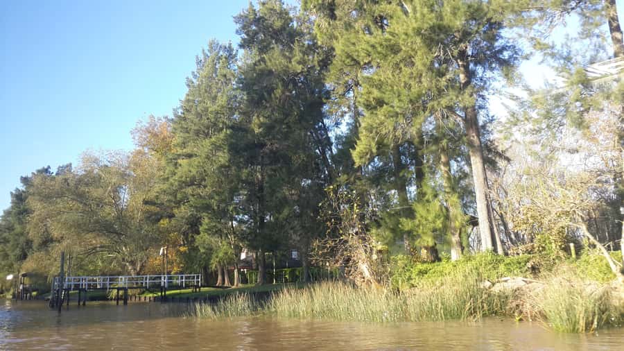 Buenos Aires: Ticket - Classic Delta of Tigre Boat Tour - Rowing clubs, Parque de la Costa, and Tigre’s museums