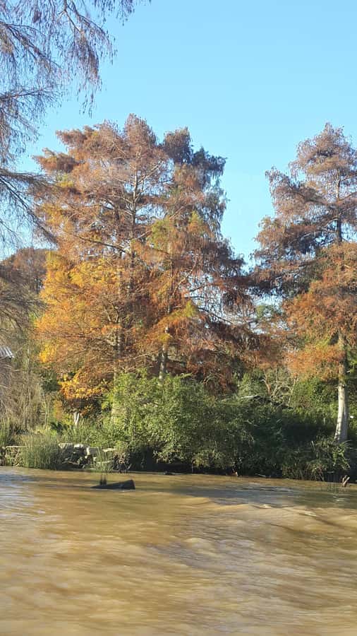 Buenos Aires: Ticket - Classic Delta of Tigre Boat Tour - What the tour does well, and where it falls short