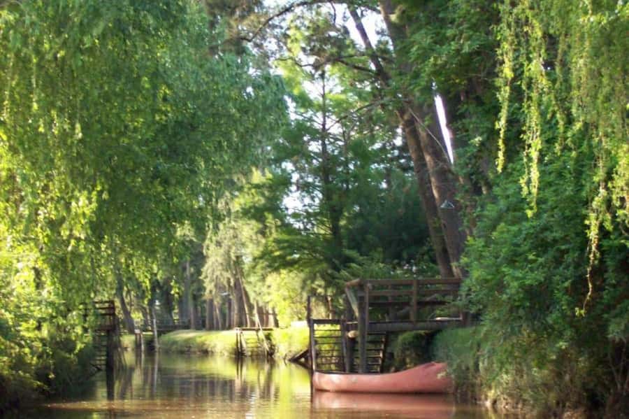 Buenos Aires: Ticket - Classic Delta of Tigre Boat Tour - Getting to Estación Fluvial Tigre