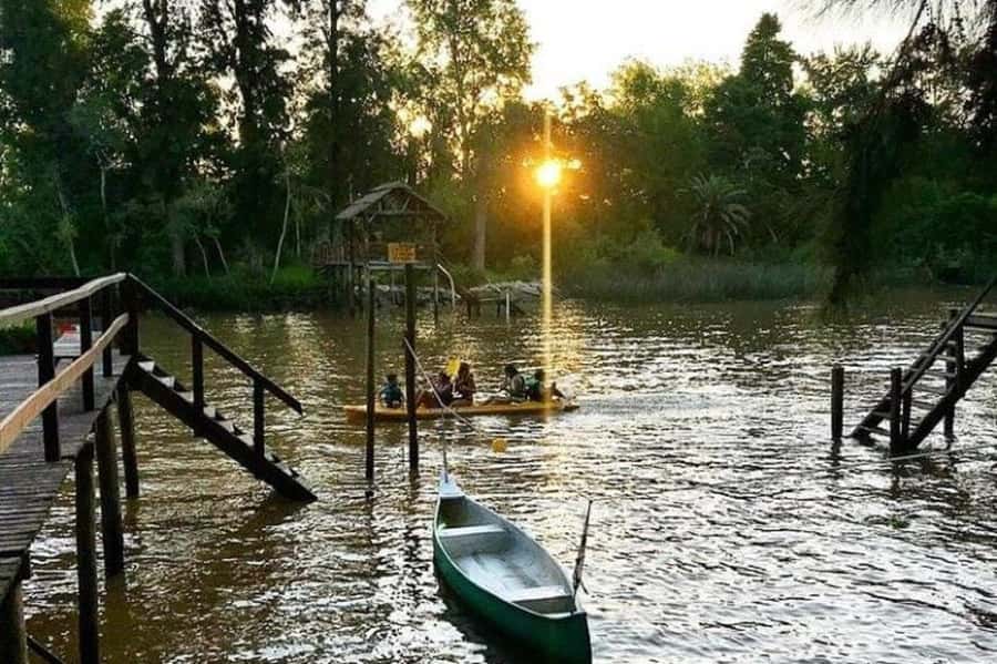 Buenos Aires: Tigre Delta Half-Day Tour with Navigation - From Buenos Aires avenues to the Paraná Delta