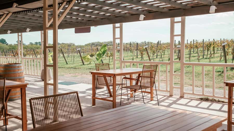 Buenos Aires: Wine Tasting and Lunch at Bodega Gamboa - What the vineyard walk is really like