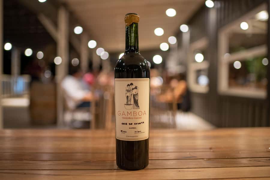 Buenos Aires: Wine Tasting and Lunch at Bodega Gamboa - The multi-course lunch is the main event