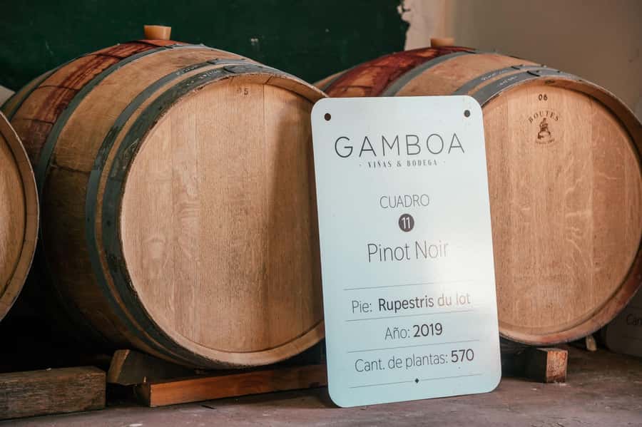 Buenos Aires: Wine Tasting and Lunch at Bodega Gamboa - Why the small group can be a real advantage