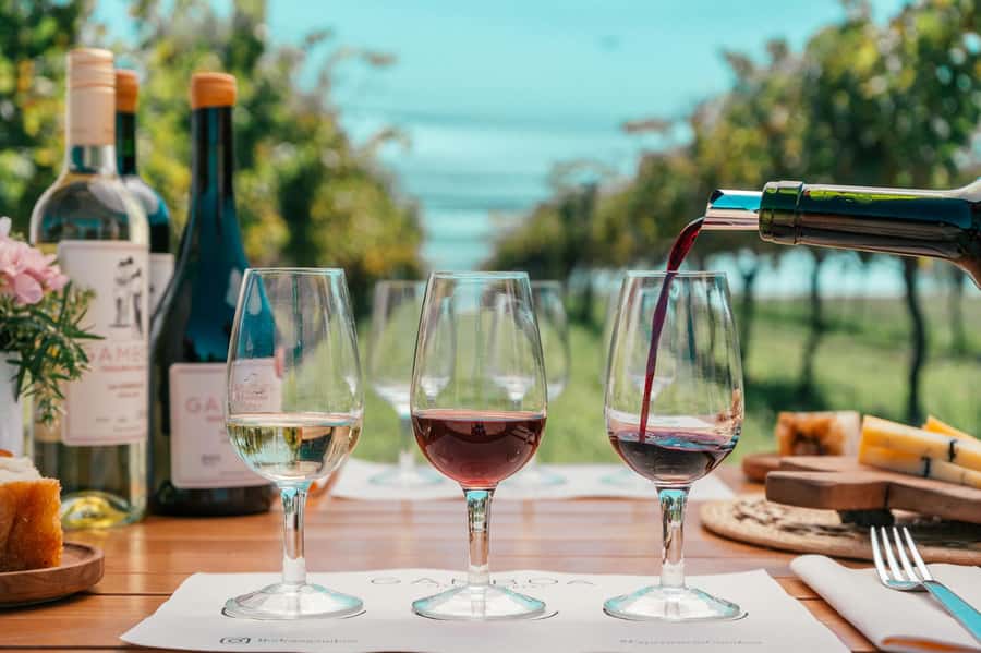 Buenos Aires: Wine Tasting & Lunch at Gamboa Vineyard - Key things to know before booking