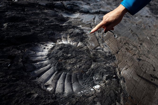 Cañadón de los Fósiles Expedition - Walking through a 170-million-year-old fossil canyon