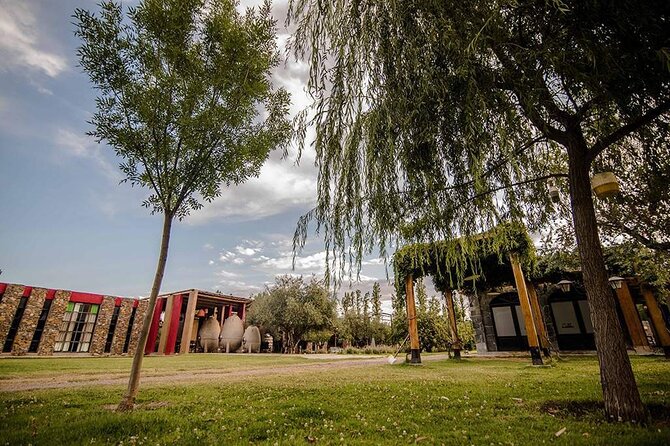 Casa Vigil (the enemy) + Dinner + Guided tour - Wine tastings, winery visits, and what you may not receive