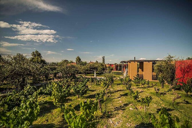 Casa Vigil (the enemy) + Dinner + Guided tour - Casa El Enemigo and the appeal of Casa Vigil