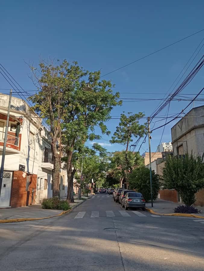 CHACARITA CEMETERY + PARQUE CHAS (LABYRINTH) - Meeting at Chacarita’s main entrance