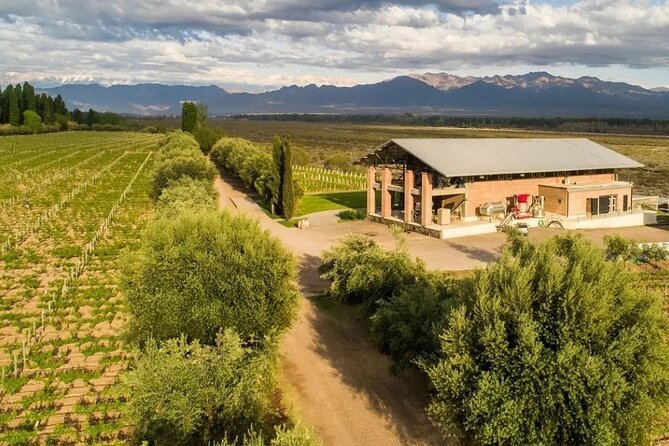 Chandon Private Tour and Chimera Bistro Lunch - Michelin Guide - What the ratings tell you about value