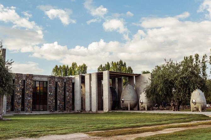 Chandon Winery + Enemigo Lunch (Michelin Guide). Transfer included - Why private transport changes the value