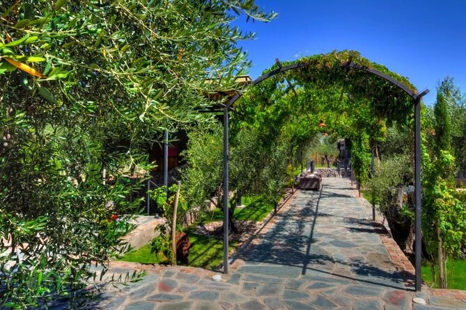 Chandon Winery + Enemigo Lunch (Michelin Guide). Transfer included - Service that helps, and one important warning